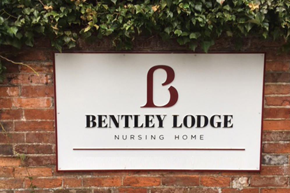 Nurse and residents painting